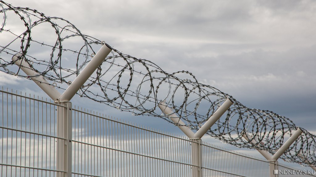 Финские власти выделили деньги на забор на границе с Россией
