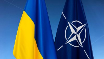 В Пентагоне заверили, что НАТО не втянется в конфликт на Украине