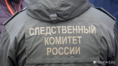 Следком России запустил «горячую линию» для участников СВО, мобилизованных и членов их семей