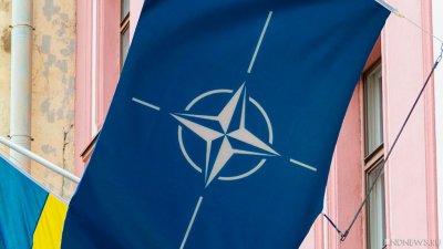 Киев откажется от вступления в НАТО, если альянс не предоставит ему права воспользоваться «Пятой статьей»