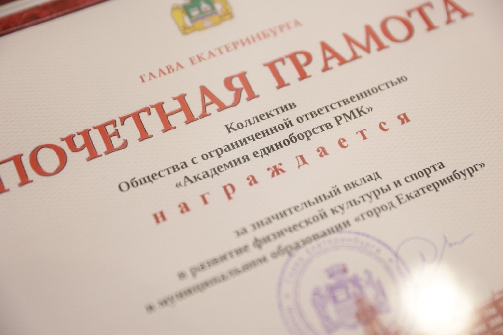 Новый День: Мэр Орлов наградил тренеров Академии единоборств РМК (ФОТО)