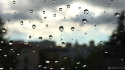Кратковременные дожди: выходные в московском регионе будут теплыми и влажными