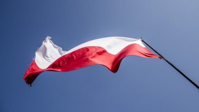 Польские фермеры призывают Путина «разобраться с Украиной и Брюсселем»