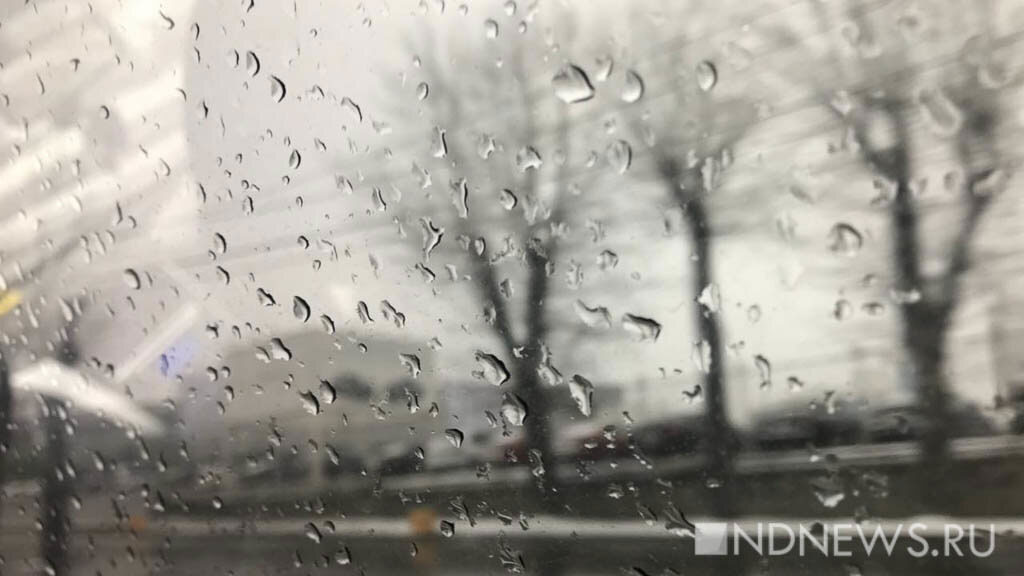 В Гималаях жертвами муссонных дождей стали десятки человек