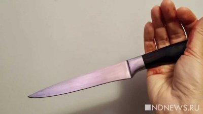 В Венгрии мужчина с ножом напал на полицейских