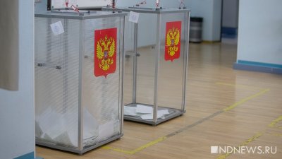 Явка избирателей на выборах президента РФ превысила 20%